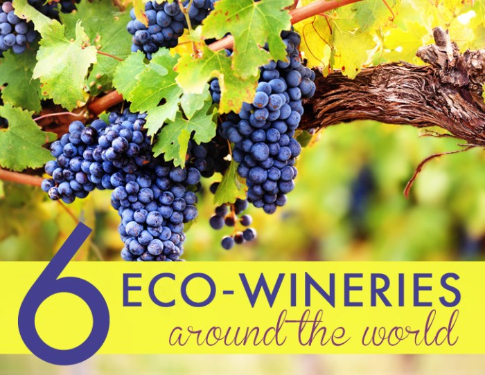 Wineries around world conscious environmentally wine Sustainable Winery Tours Worldwide